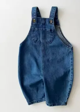 Navy Overalls
